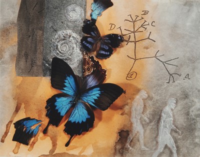 Lot 350 - Olivia Parker (b.1941)