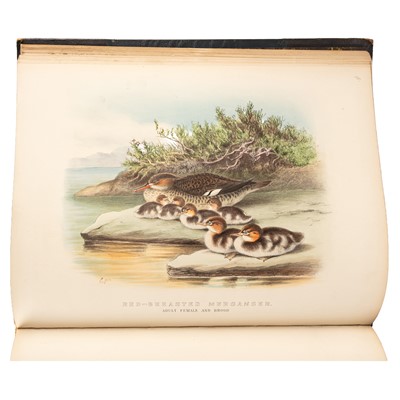 Lot 132 - Booth. Rough Notes..Birds Observed during 25 Years. 3 vol 1881-87
