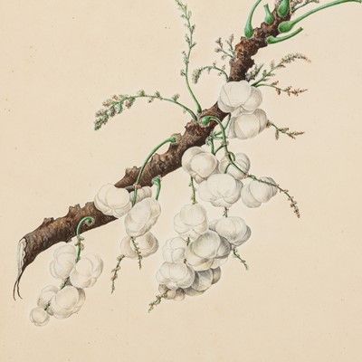 Lot 93 - Elizabeth Ann Briscoe (British, 1780-1842)