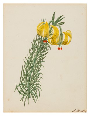 Lot 107 - British School, (c.1804)