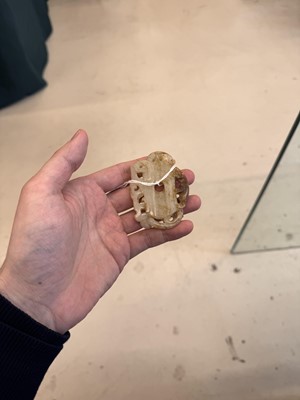 Lot 508 - A Chinese archaistic jade 'dragon' carving, 19th-20th century