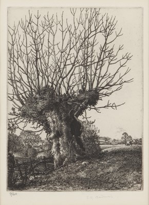 Lot 14 - Stanley Badmin (British, 1906-1989)