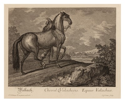 Lot 284 - Ridinger (Johann Ellias) after & Seuter (J. G.) engraver, Three equestrian engravings