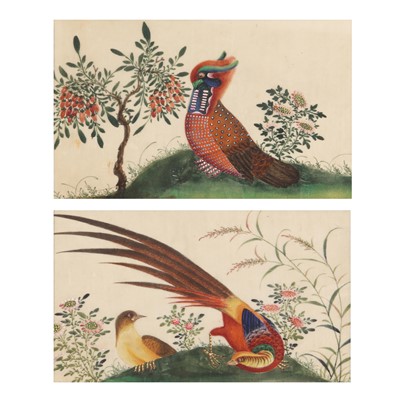 Lot 711 - Two Chinese 'exotic birds' pith paper paintings, Chinese School, 19th century