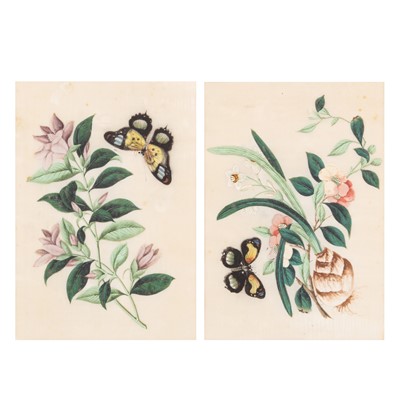 Lot 705 - Two Chinese 'butterfly' pith paper paintings, Chinese School, 19th century