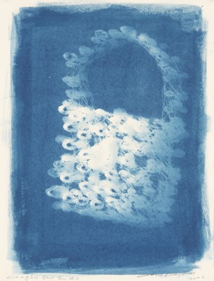 Lot 327 - Joy Gregory (b.1959)
