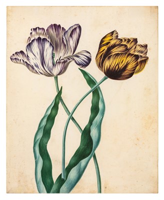 Lot 106 - British School (18th century)