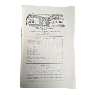 Lot 312 - Polo