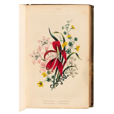 Lot 133 - Botany.