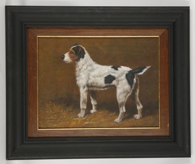 Lot 538A - An oil painting, study of a Jack Russell...