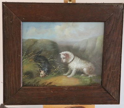 Lot 182 - An oil painting study of Terrier dogs in a...