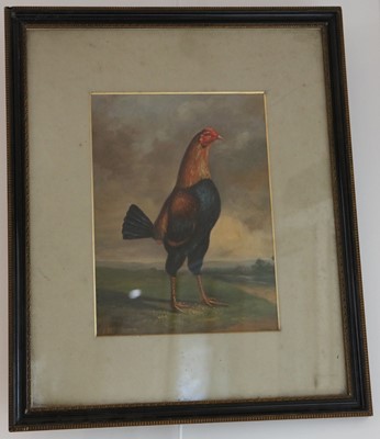 Lot 185 - An oil painting study of a fighting cockerel,...