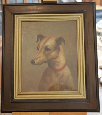 Lot 187 - An oil painting study of a lurcher, dark wood...