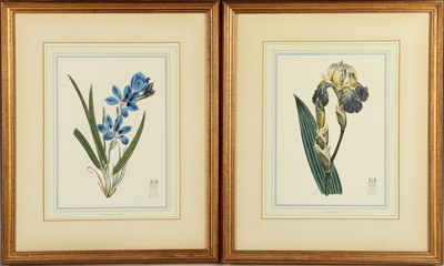 Lot 471 - A set of six botanical flower illustrations...