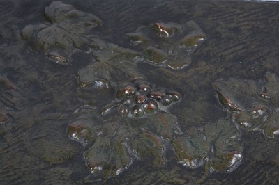 Lot 58 - MAURICE GUIRAUD-RIVIÈRE (FRENCH, B.1881): A...