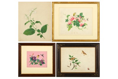 Lot 625 - FOUR CHINESE BOTANICAL PAINTINGS.