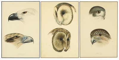 Lot 324 - Gould (John) A Synopsis of the Birds of...