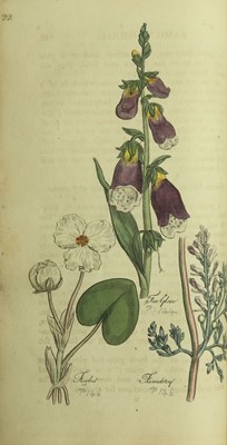 Lot 85 - Botany.-  Hill (John) The Family Herbal, 54...