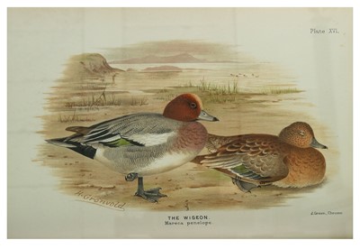 Lot 311 - Baker (Edward Charles Stuart) The Indian Ducks...