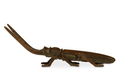 Lot 358 - A BRONZE MODEL OF A BEETLE. 19th Century....