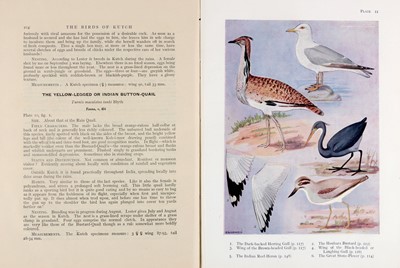 Lot 82 - Birds.- Whistler (Hugh) Popular Handbook of...