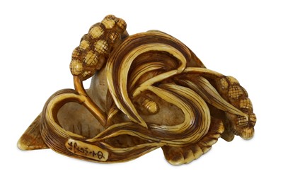 Lot 176 - A JAPANESE UNUSUAL IVORY NETSUKE OF A BIRD....