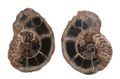 Lot 111 - A PAIR OF PYRITISED SPLIT AMMONITES. Saratov...