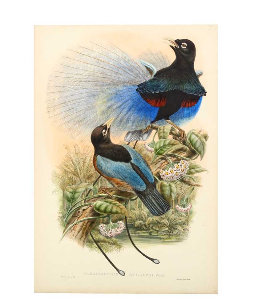 Lot 315 - Bowdler Sharpe (Richard) Paradisornis Rudolphi,...