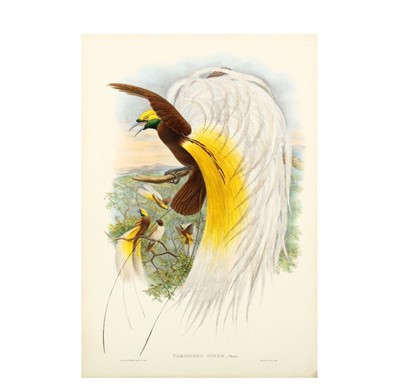 Lot 315 - Bowdler Sharpe (Richard) Paradisornis Rudolphi,...