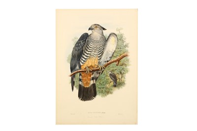 Lot 315 - Bowdler Sharpe (Richard) Paradisornis Rudolphi,...