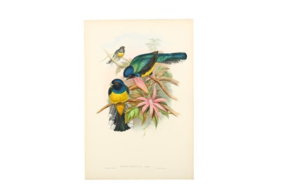 Lot 315 - Bowdler Sharpe (Richard) Paradisornis Rudolphi,...