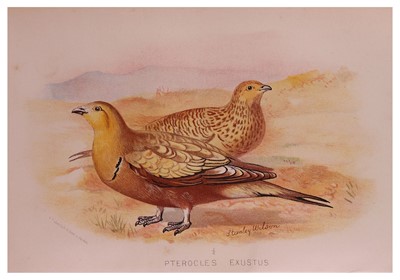 Lot 317 - Ching (Raymond) Kestrel, ARTIST’S PROOF,...