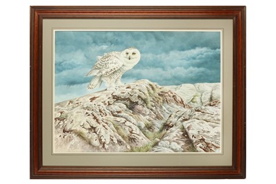 Lot 75 - Parry (David, b.1942) ‘First Landing on...