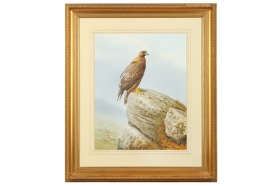 Lot 2 - Digby (R. David, b.1936) Golden Eagle,...