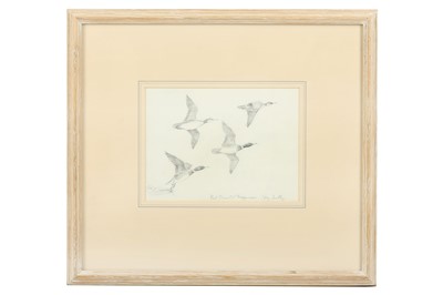 Lot 46 - Harrison (J. C.) ‘Tufted Duck’, 150 x 220 mm;...