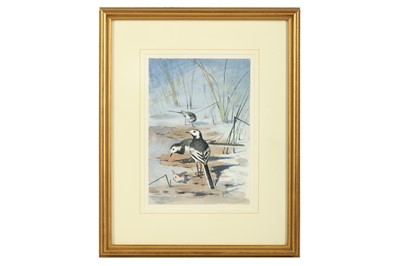 Lot 32 - Harrison (J. C.) Pied Wagtails, original...