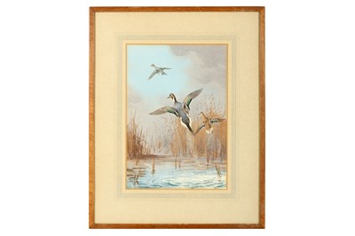 Lot 20 - Harrison (J. C.) Ducks in Flight over Reeds,...