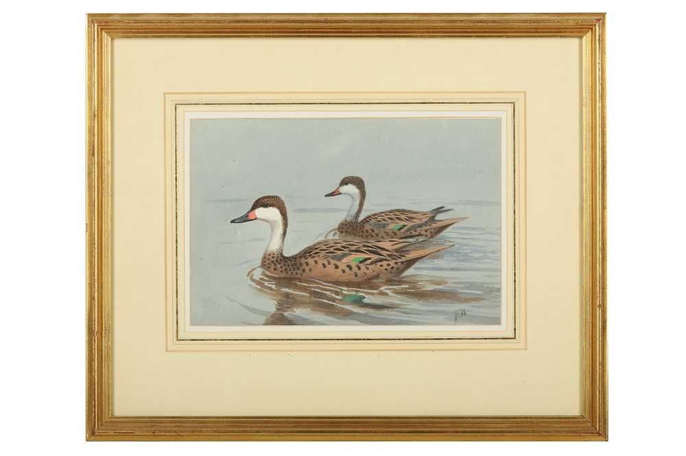 Lot 35 - Harrison (J. C.) Pair of Pintails, original...