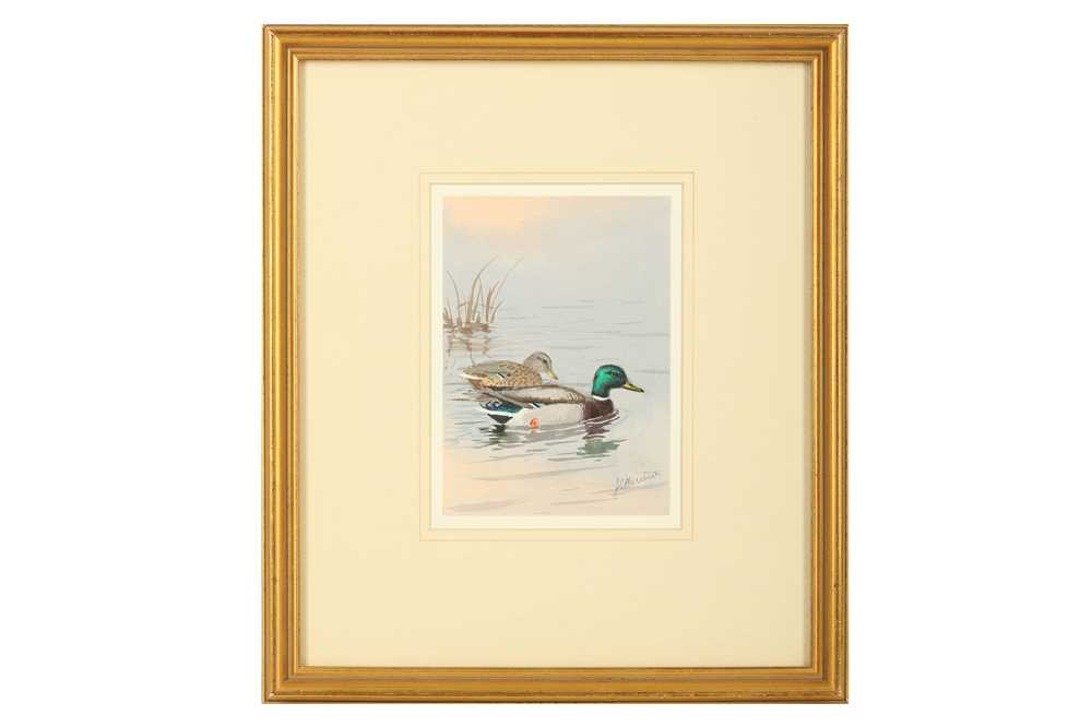 Lot 34 - Harrison (J. C.) Pair of Ducks on a Pond,...