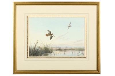 Lot 42 - Harrison (J. C.) Snipe in Flight, original...