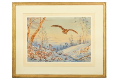 Lot 53 - Harrison (J. C.) Woodcock in Flight, Winter,...