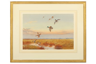 Lot 21 - Harrison (J. C.) Ducks Landing, original...