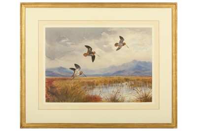 Lot 41 - Harrison (J. C.) Snipe, original watercolour &...