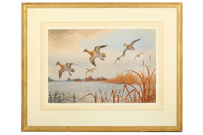 Lot 24 - Harrison (J. C.) Garganey Ducks in Flight,...