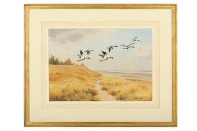 Lot 39 - Harrison (J. C.) Shelducks in Flight, original...