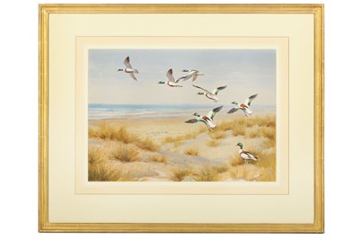 Lot 40 - Harrison (J. C.) Shelducks Taking Off,...