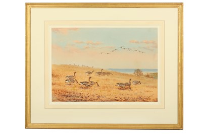 Lot 48 - Harrison (J. C.) White-fronted Geese, original...