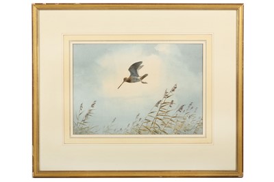 Lot 43 - Harrison (J. C.) Snipe in Flight, original...