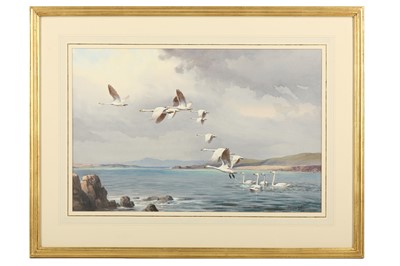 Lot 50 - Harrison (J. C.) Whooper Swans, original...