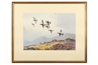 Lot 38 - Harrison (J. C.) ‘Rising in a Bunch’, original...